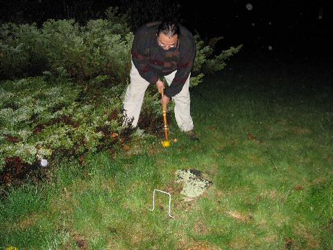 Bumblebee Park - In the Dark